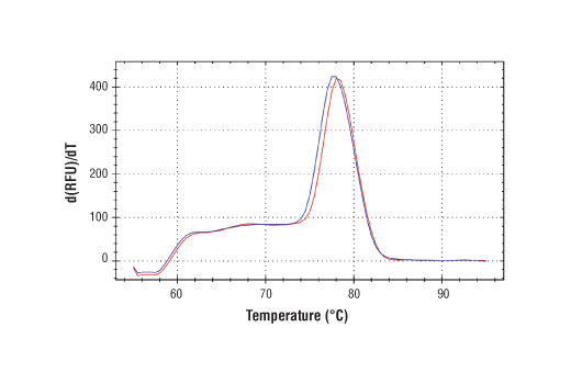 SimpleChIP® Human Nanog Promoter Primers - 500 ul