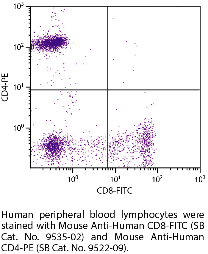 Mouse Anti-Human CD8-FITC - 100 tests