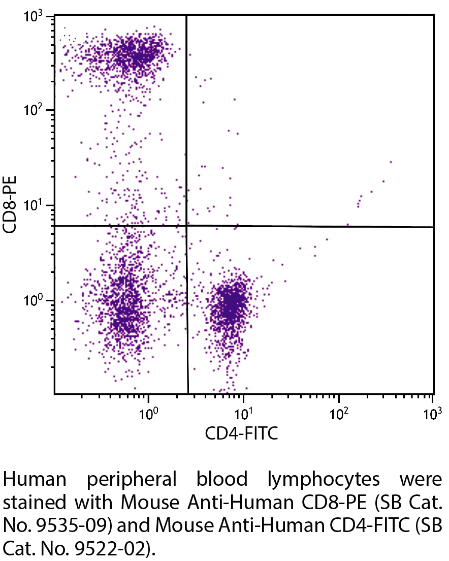 Mouse Anti-Human CD8-PE - 100 tests