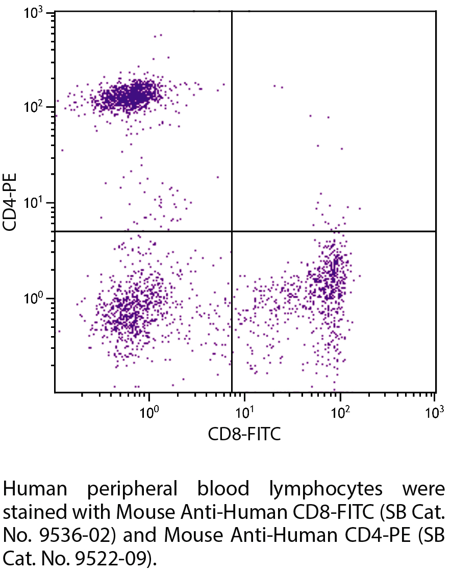 Mouse Anti-Human CD8-FITC - 100 tests