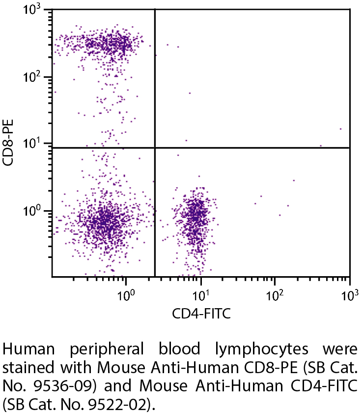 Mouse Anti-Human CD8-PE - 100 tests