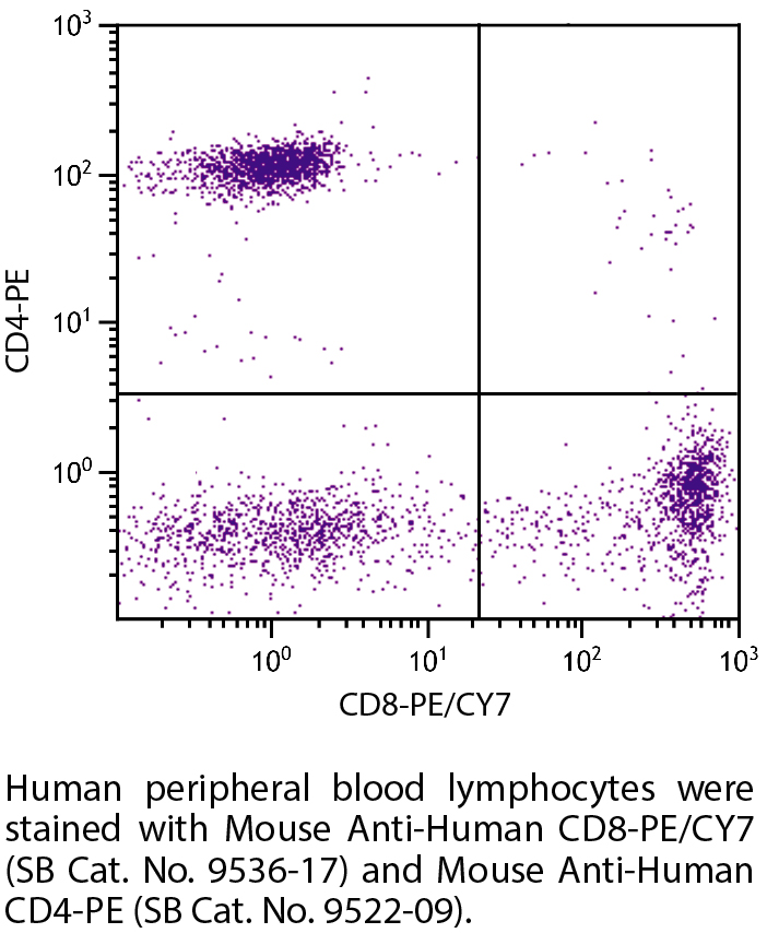 Mouse Anti-Human CD8-PE/CY7 - 100 tests