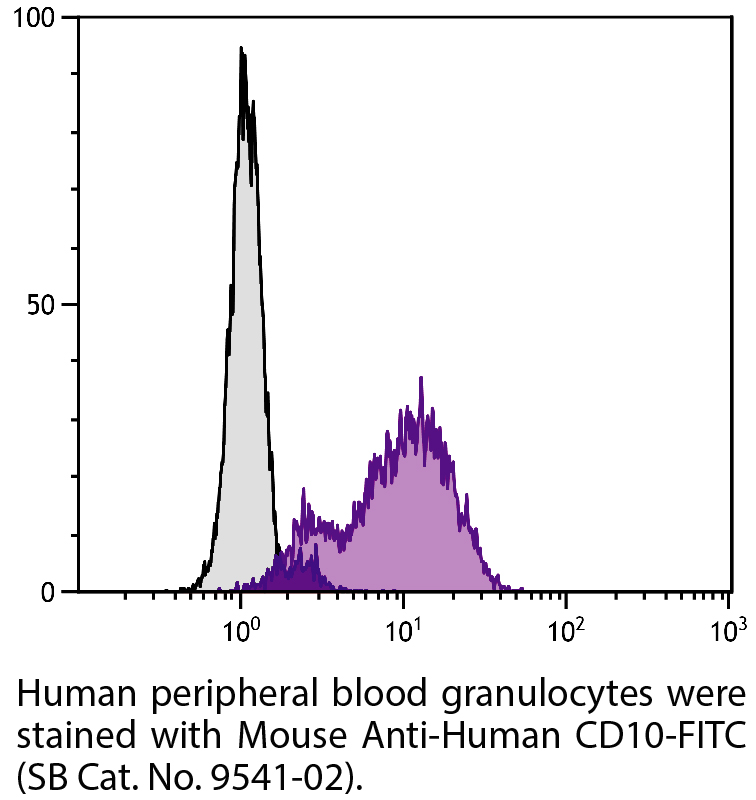 Mouse Anti-Human CD10-FITC - 100 tests