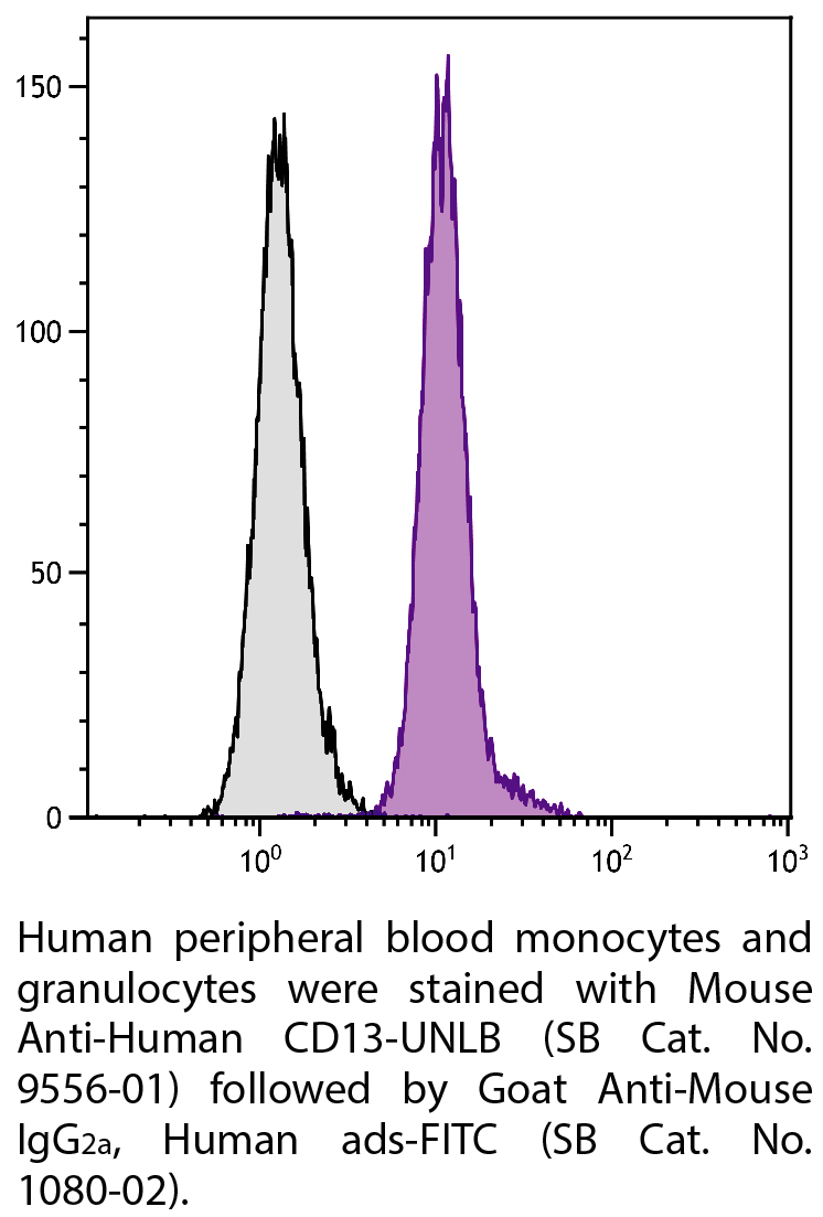 Mouse Anti-Human CD13-UNLB - 0.1 mg