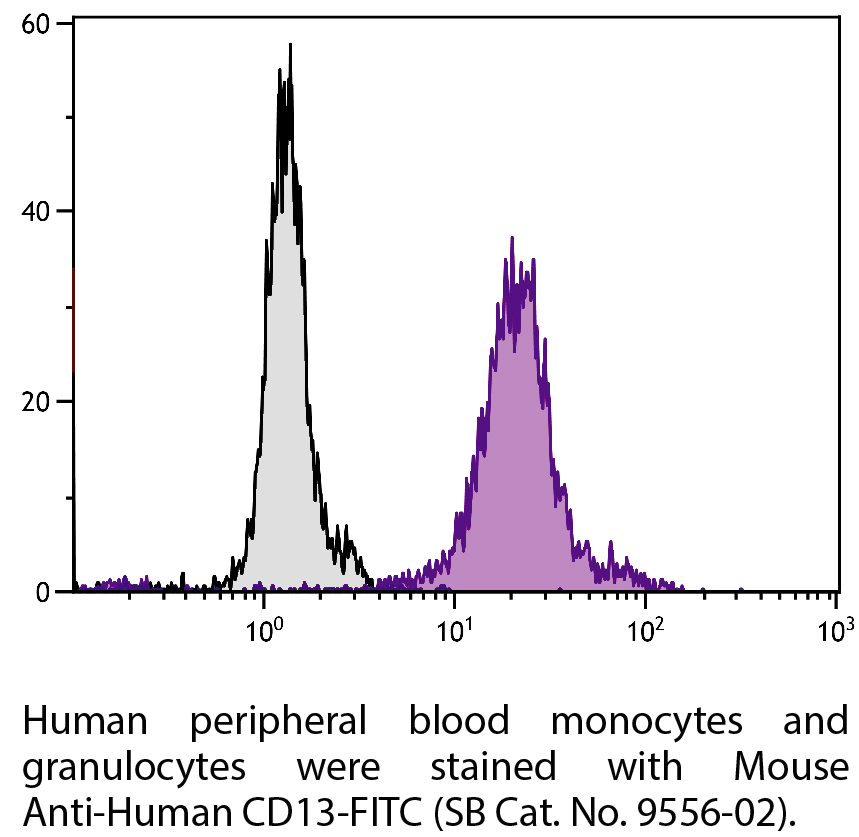 Mouse Anti-Human CD13-FITC - 100 tests