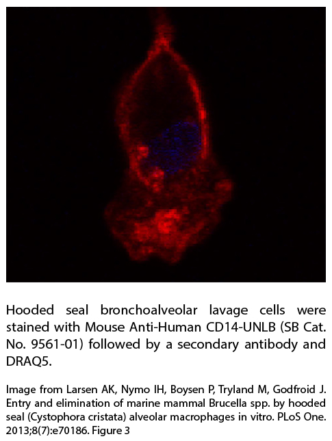 Mouse Anti-Human CD14-UNLB - 0.1 mg