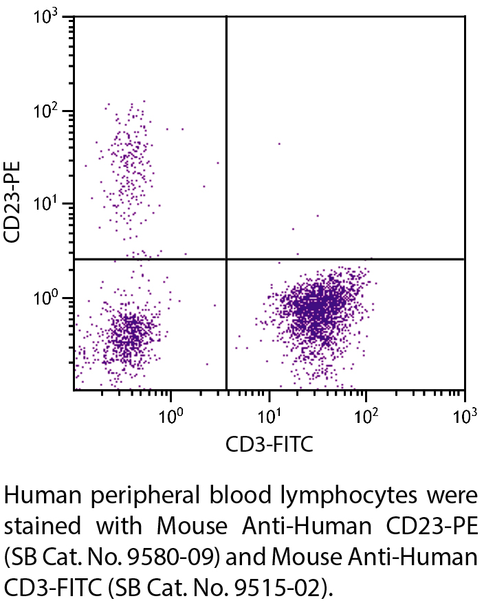 Mouse Anti-Human CD23-PE - 100 tests