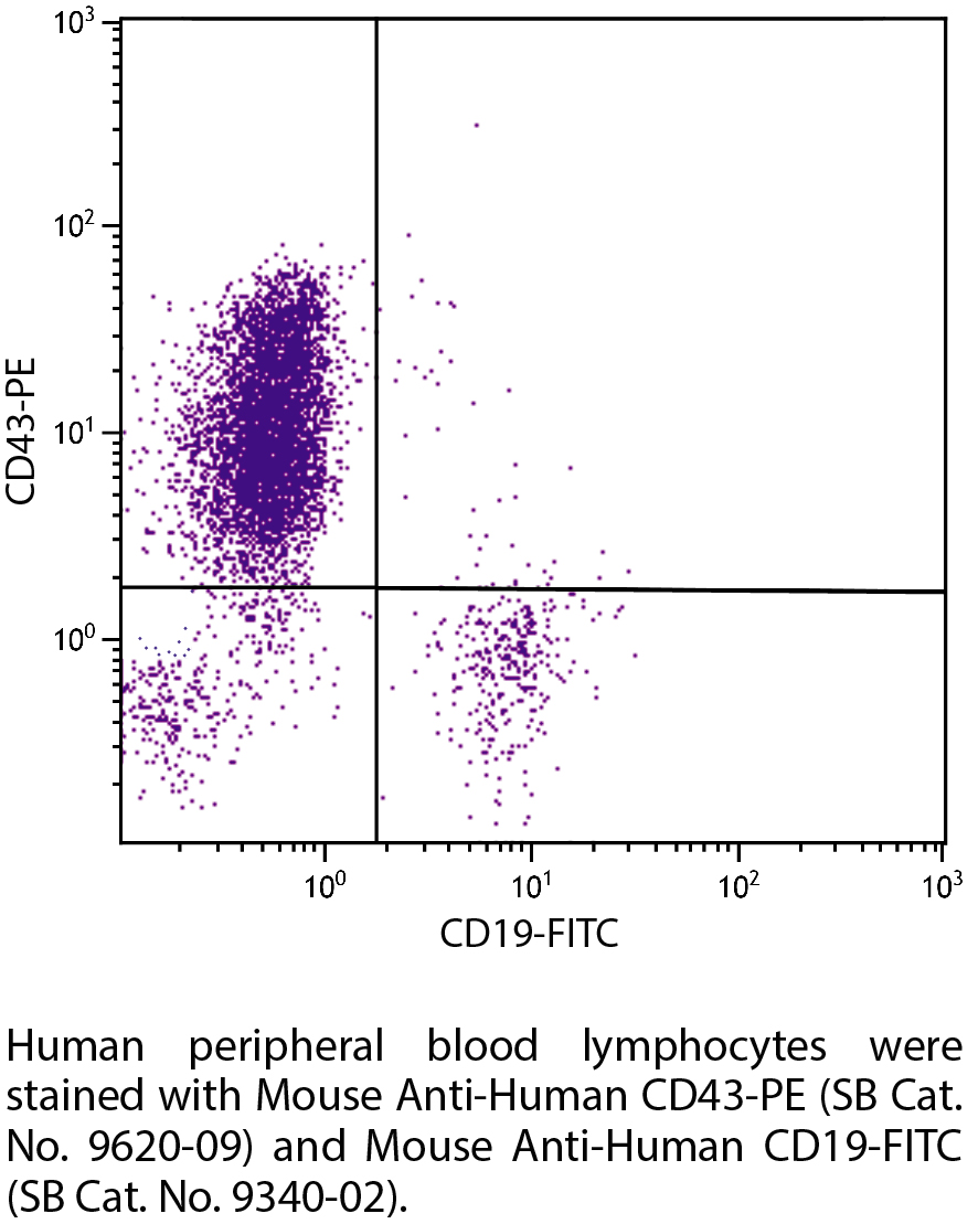 Mouse Anti-Human CD43-PE - 100 tests