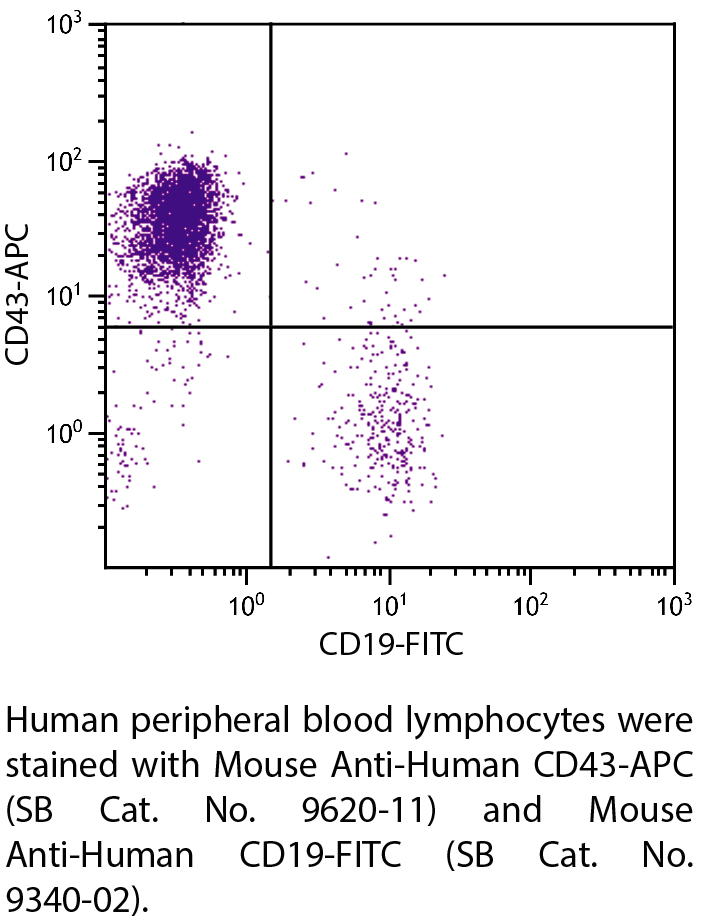 Mouse Anti-Human CD43-APC - 100 tests