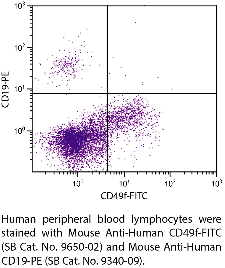 Mouse Anti-Human CD49f-FITC - 100 tests