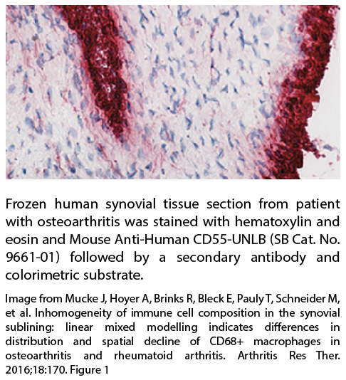 Mouse Anti-Human CD55-UNLB - 0.1 mg