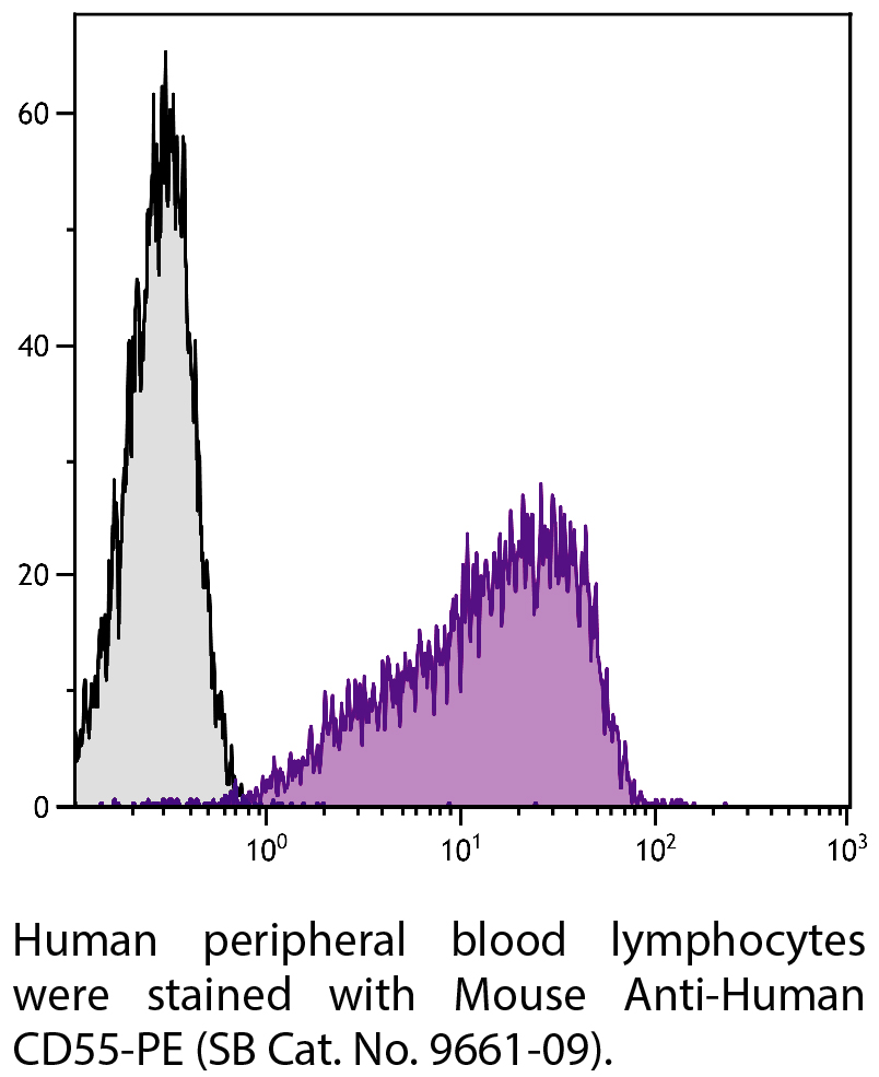 Mouse Anti-Human CD55-PE - 100 tests