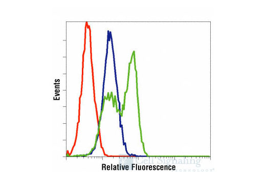 Human Reactive Cell Death and Autophagy Antibody Sampler Kit - 1 Kit