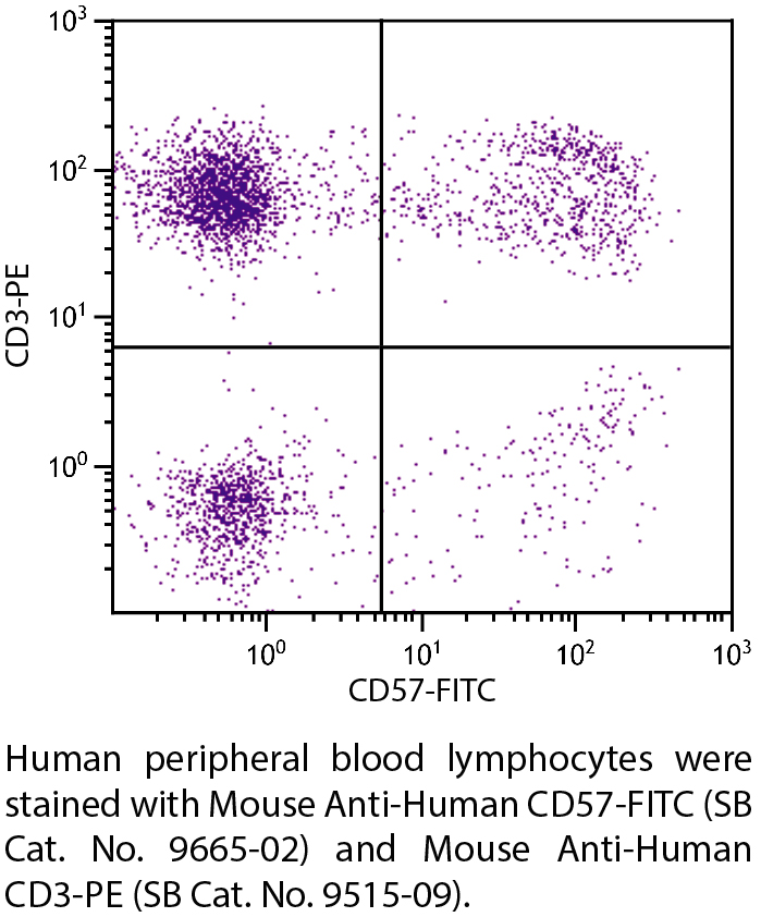 Mouse Anti-Human CD57-FITC - 100 tests