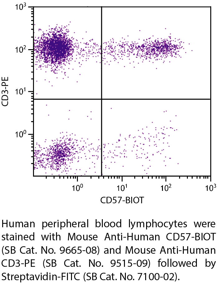 Mouse Anti-Human CD57-BIOT - 100 tests