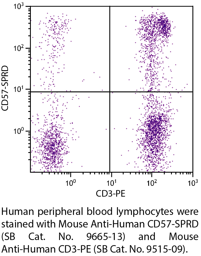 Mouse Anti-Human CD57-SPRD - 100 tests