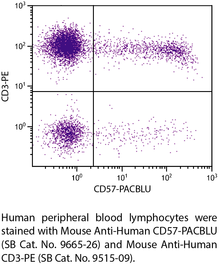 Mouse Anti-Human CD57-PACBLU - 100 tests