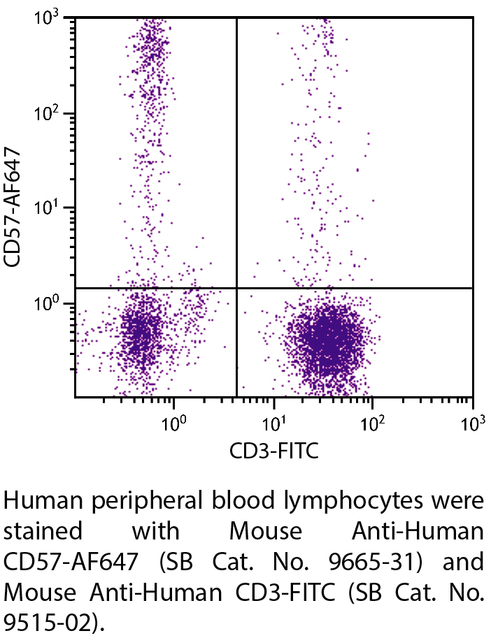 Mouse Anti-Human CD57-AF647 - 100 tests