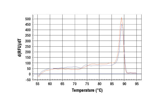 SimpleChIP® Human ESR1 Promoter Primers - 500 ul