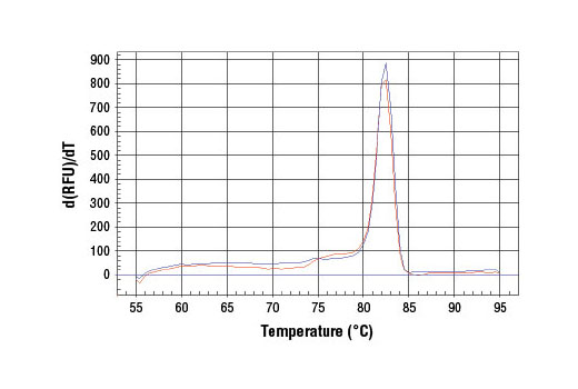 SimpleChIP® Human pS2 Promoter Primers - 500 ul