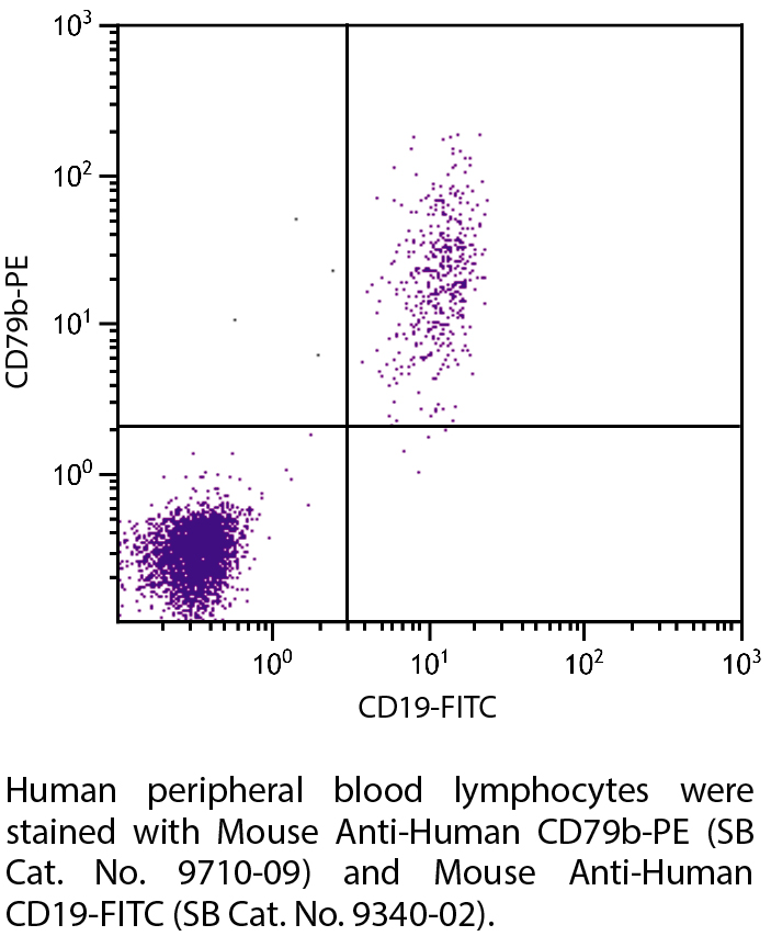 Mouse Anti-Human CD79b-PE - 100 tests