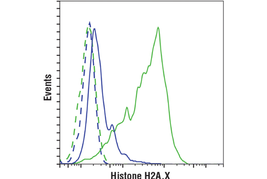 PhosphoPlus® Histone H2A.X (Ser139) Antibody Duet - 1 Kit