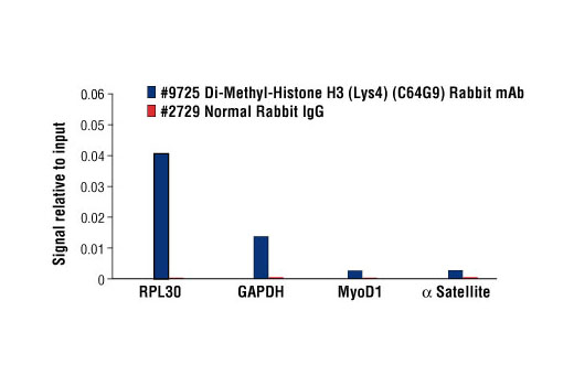 Di-Methyl-Histone H3 Antibody Sampler Kit - 1 Kit