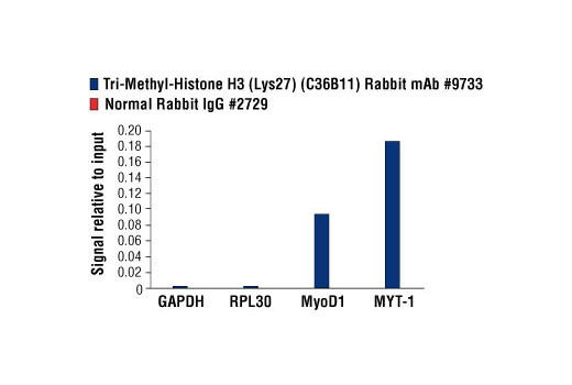 Methyl-Histone H3 (Lys27) Antibody Sampler Kit - 1 Kit