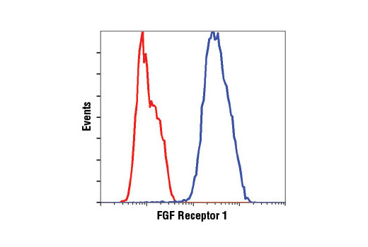 PhosphoPlus® FGF Receptor 1 (Tyr653/654) Antibody Duet - 1 Kit