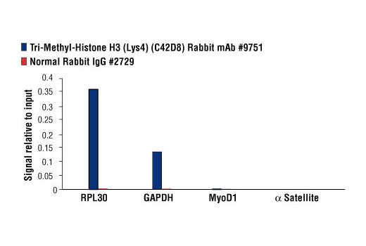 Methyl-Histone H3 (Lys4) Antibody Sampler Kit - 1 Kit