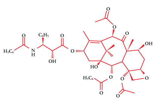 Paclitaxel - 1 mg