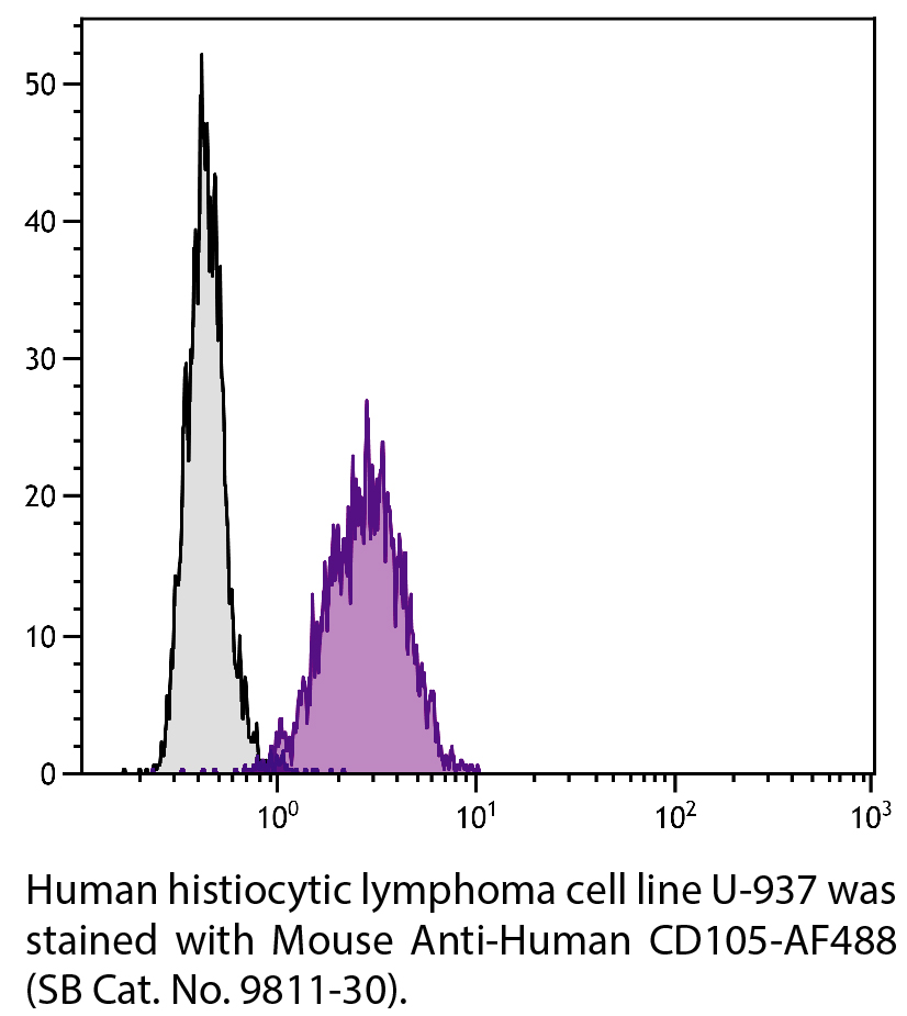 Mouse Anti-Human CD105-AF488 - 100 tests