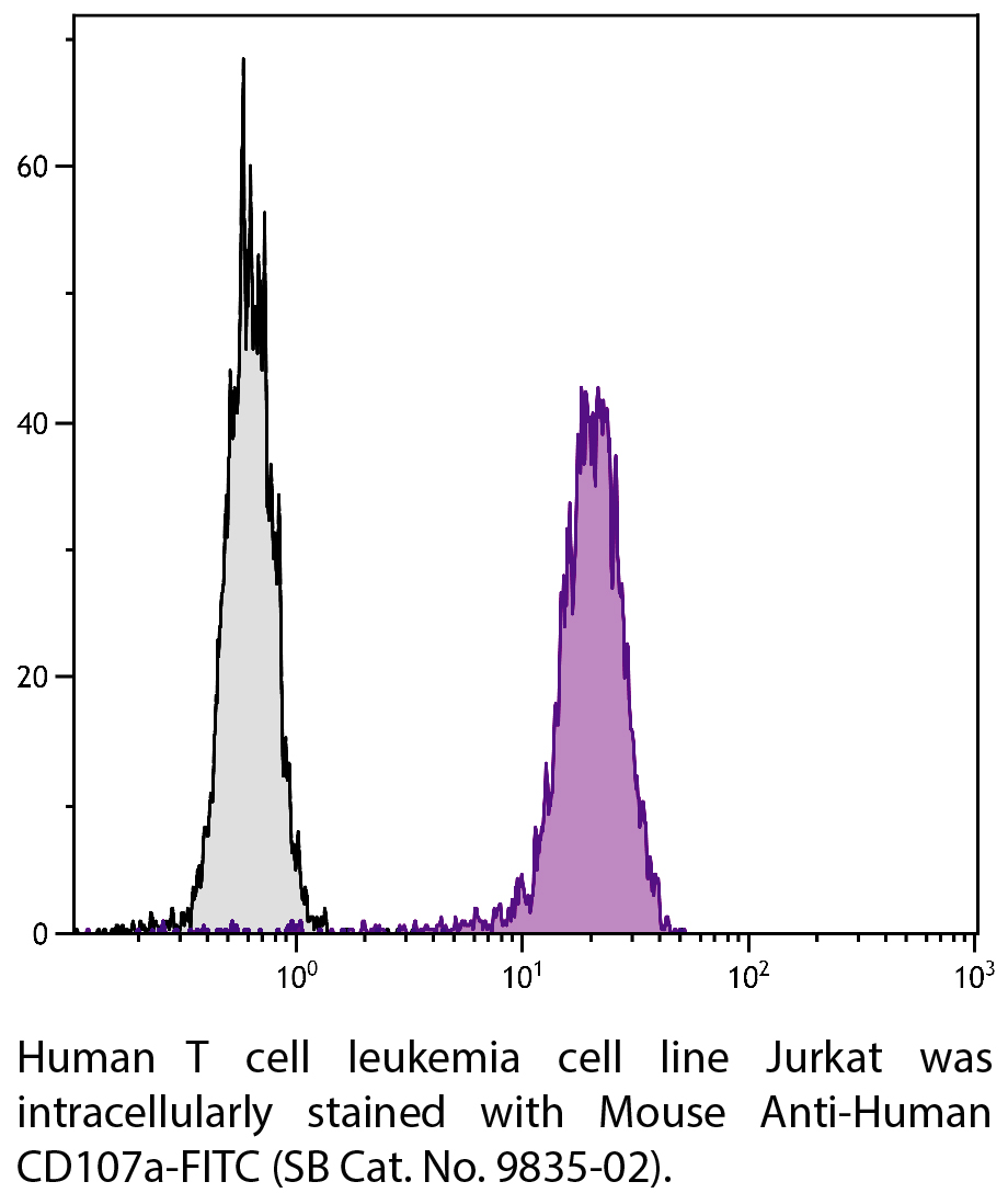 Mouse Anti-Human CD107a-FITC - 100 tests