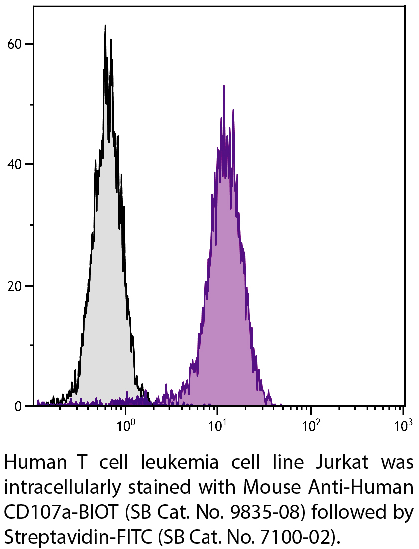 Mouse Anti-Human CD107a-BIOT - 100 tests