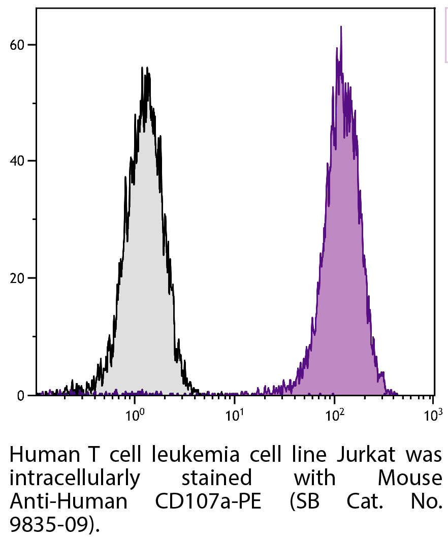 Mouse Anti-Human CD107a-PE - 100 tests