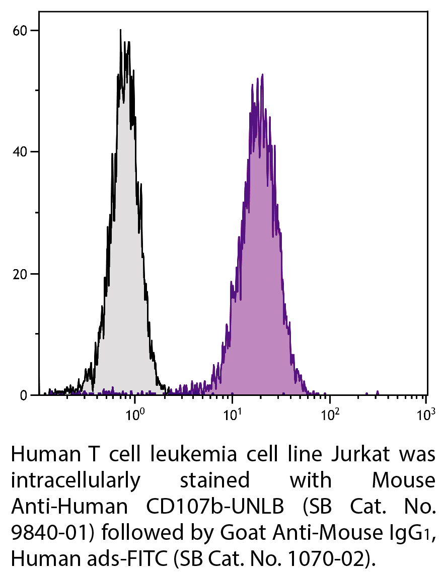 Mouse Anti-Human CD107b-UNLB - 0.1 mg