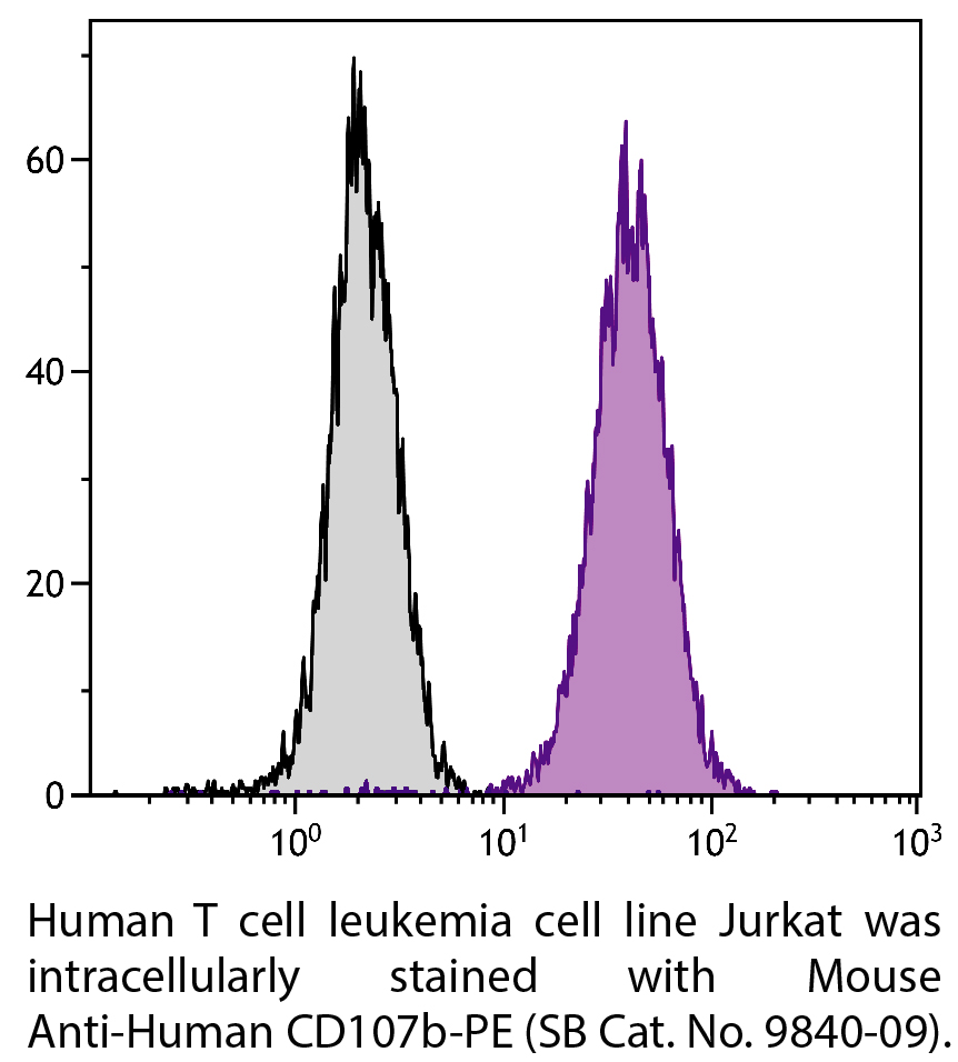 Mouse Anti-Human CD107b-PE - 100 tests