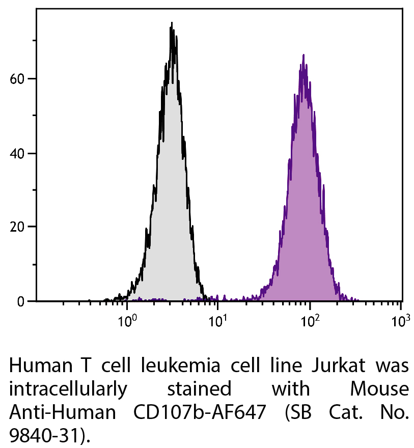 Mouse Anti-Human CD107b-AF647 - 100 tests