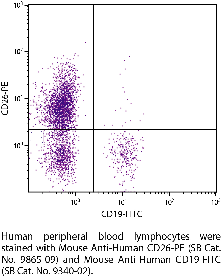 Mouse Anti-Human CD26-PE - 100 tests