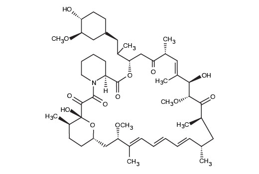 Rapamycin - 10 nmol