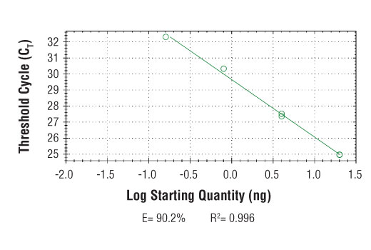 SimpleChIP® Human IKZF3 Promoter Primers - 500 ul