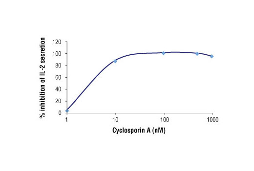 Cyclosporin A - 100 mg