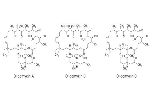 Oligomycin - 5 mg