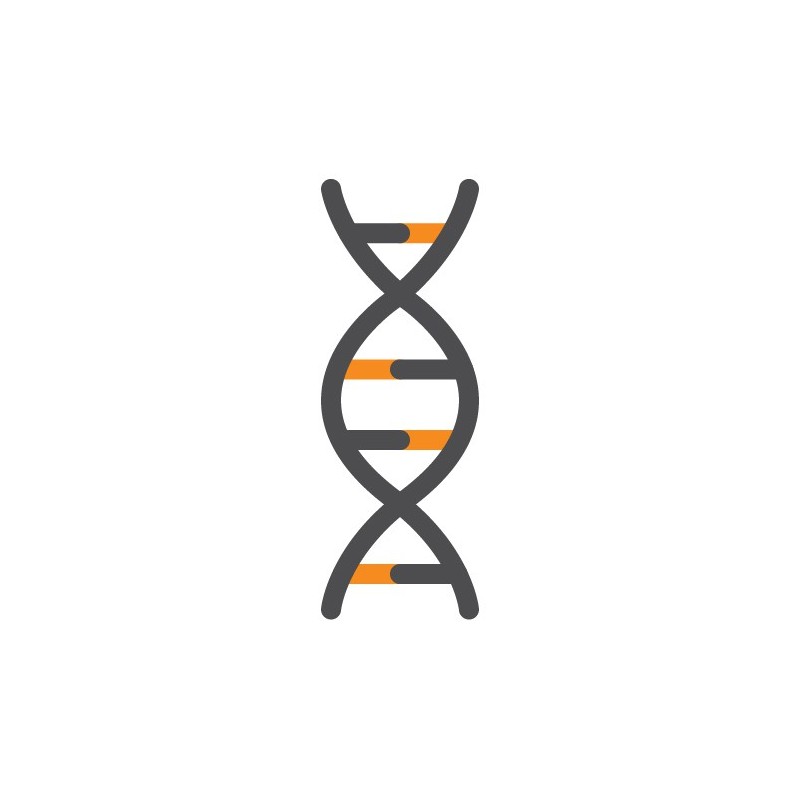 ExtractNow ™ DNA Mini Kit - 10 extractions