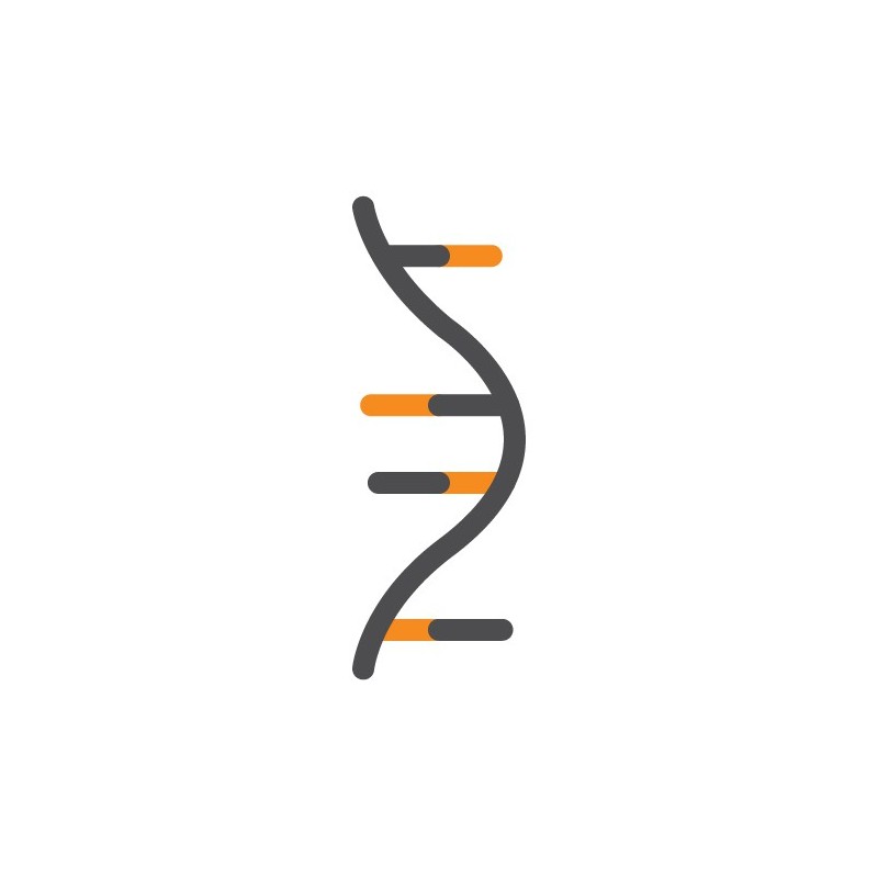 ExtractNow ™ RNA Mini Kit   - 10 extractions