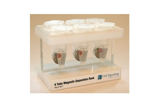 6-Tube Magnetic Separation Rack - 1 units