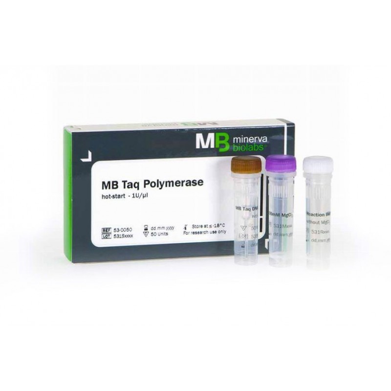 MB Taq DNA Polymerase - 100 Units