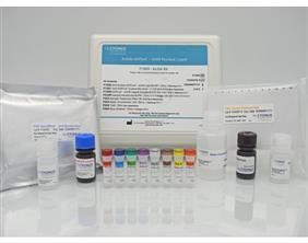 AVIPure® – AAV8 Residual Ligand Assay Kit