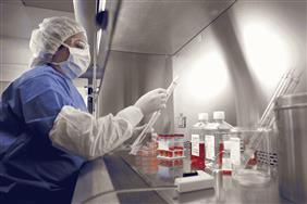 Mammalian Cell Line Characterization Mammalian Cell Line Characterization